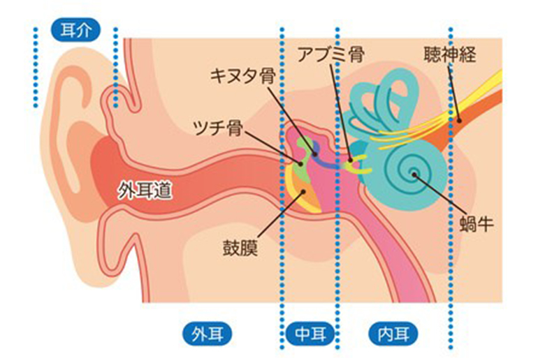 よくある「みみ」の病気について